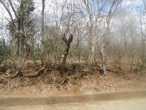 Venta de Terrenos en Nicaragua Para ver ms  - Imagen 2